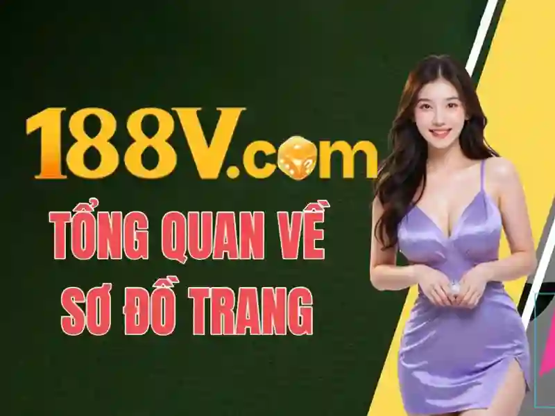 đăng ký 188v – Trải nghiệm người dùng và phản hồi