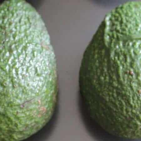 blurred avocados in the focus stock video clip