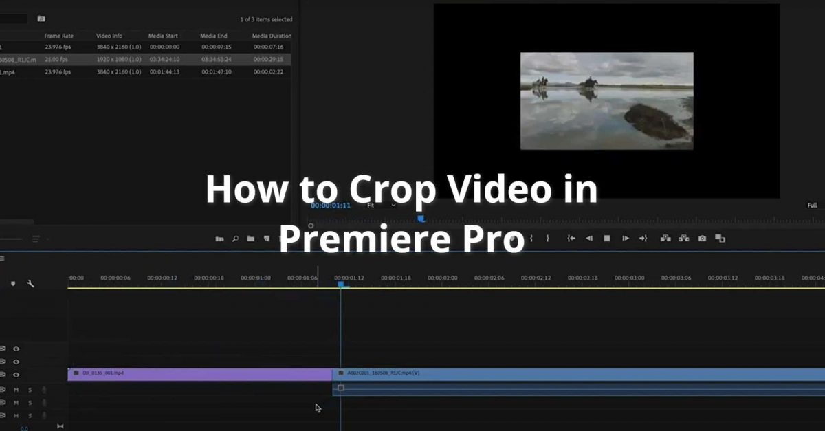 How to Crop Videos in Premiere Pro Stock Video Secrets